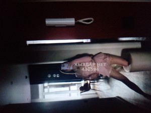 Проститутка Шымкента Девушка№430594 Малышка только до утра в Шым Фотография №3921838